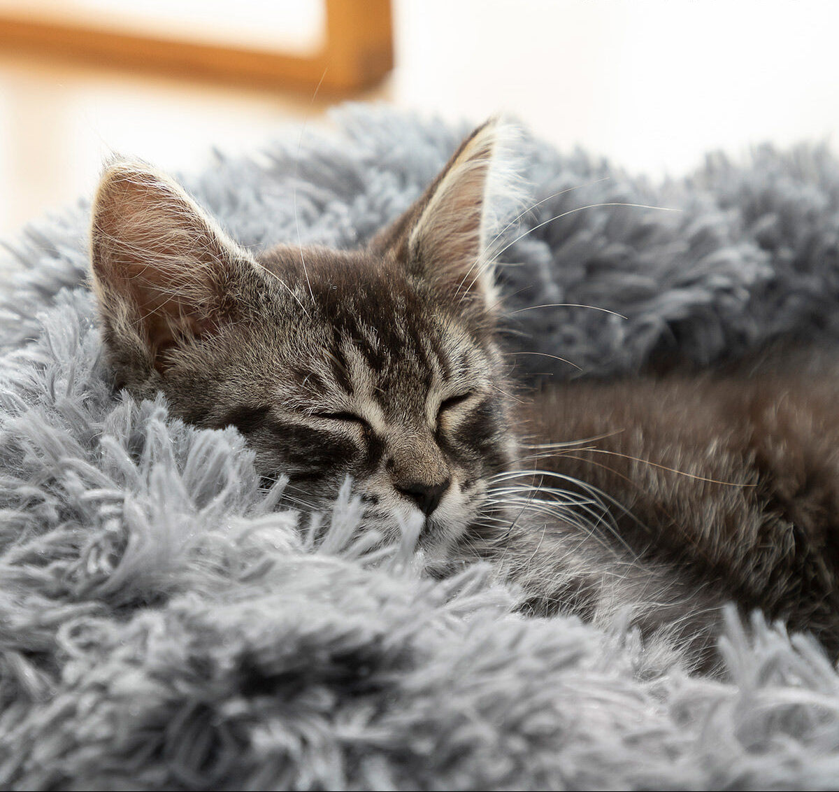 Anti‑Stress Pet Bed for Cats & Dogs – Bepess InnovaGoods (Ø 60 cm)