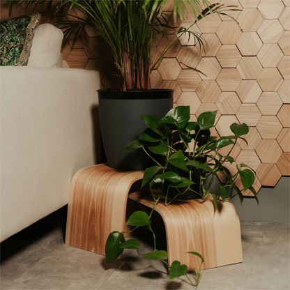 Ewart Woods Wooden Plant Stands – Set of 3