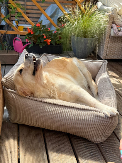 Lodie Corduroy Dog Sofa with Removable Cover – Green, M