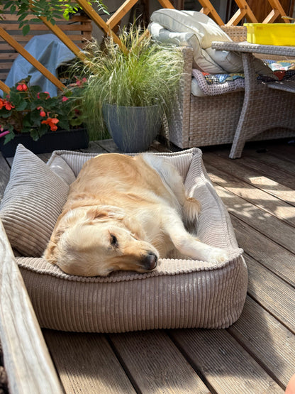 Lodie Corduroy Memory Foam Dog Sofa – Hazelnut Taupe, L