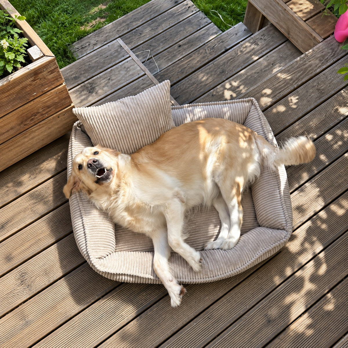 Nino Corduroy Dog Basket Bed with Removable Cover – Cloud Grey, M