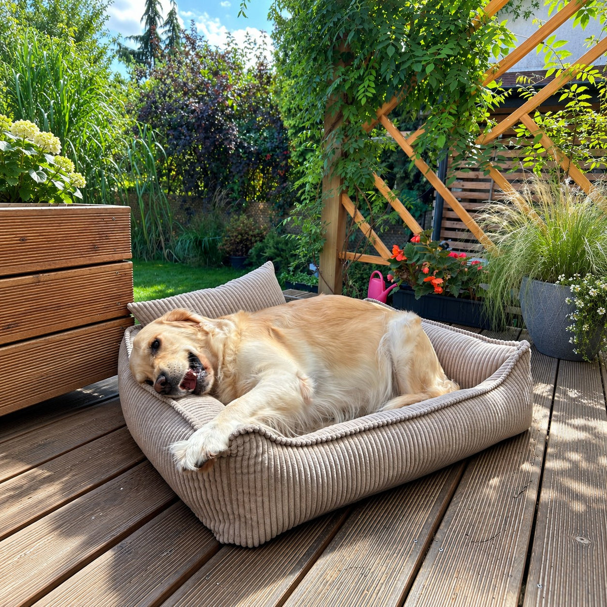 Nino Corduroy Memory Foam Dog Basket Bed – Hazelnut Taupe, S
