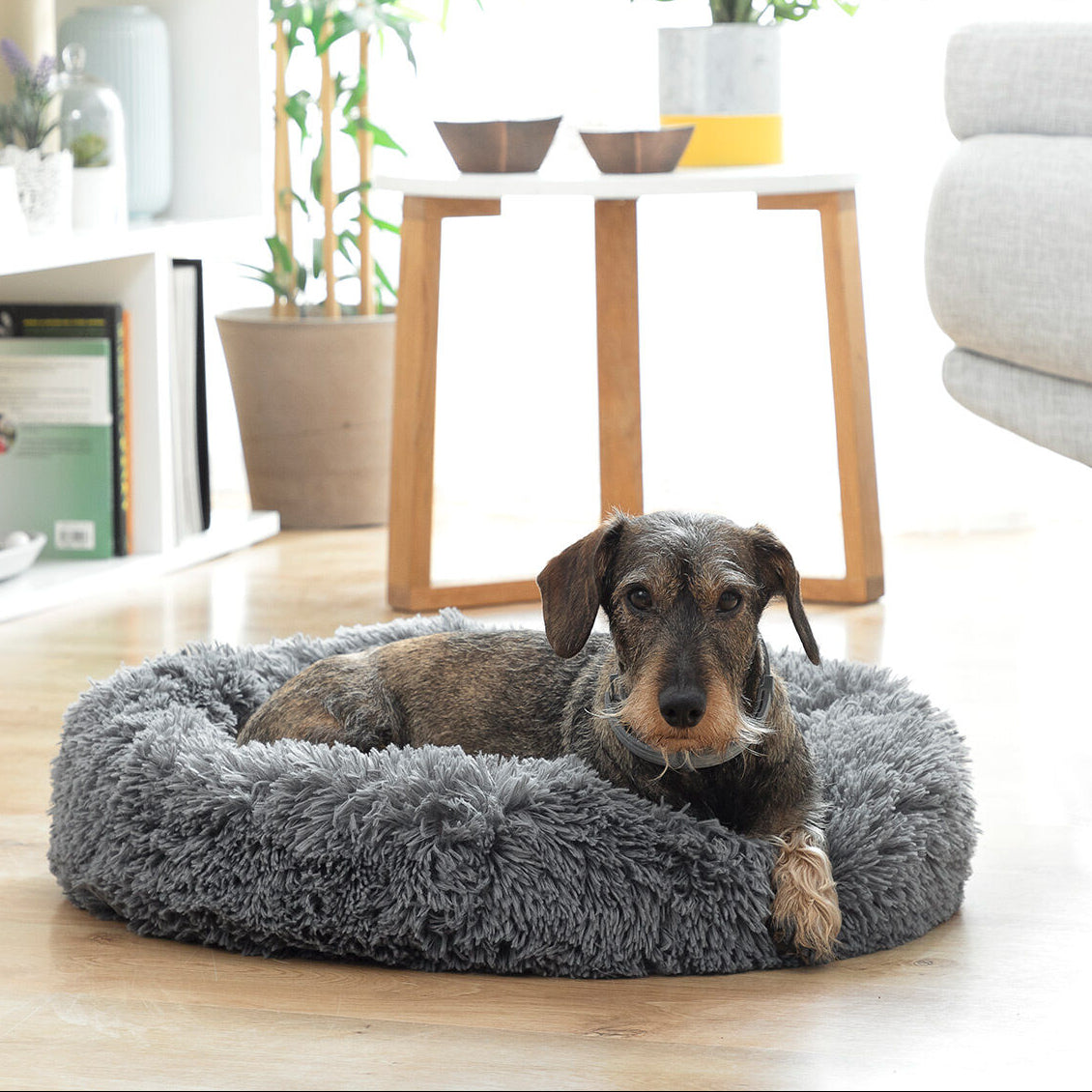 round grey pet bed with raised edge for cats and dogs
