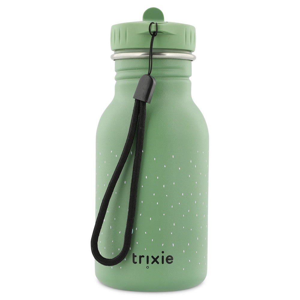 stainless steel water bottle for kids with frog design and handle
